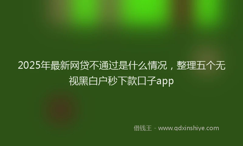 2025年最新网贷不通过是什么情况，整理五个无视黑白户秒下款口子app