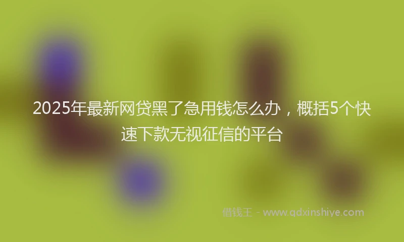 2025年最新网贷黑了急用钱怎么办，概括5个快速下款无视征信的平台