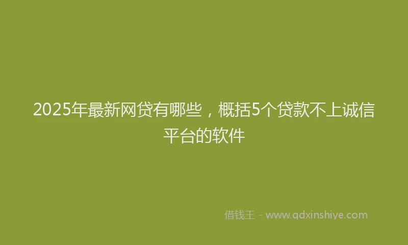 2025年最新网贷有哪些，概括5个贷款不上诚信平台的软件