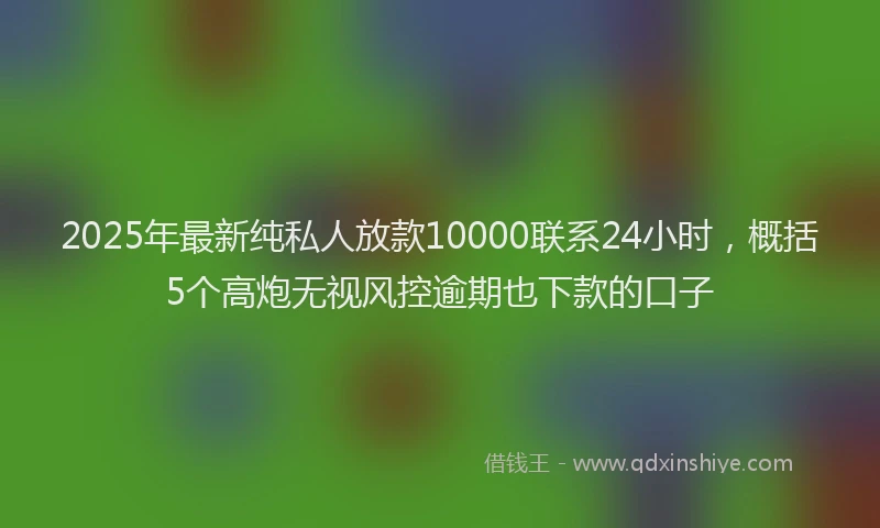 2025年最新纯私人放款10000联系24小时，概括5个高炮无视风控逾期也下款的口子