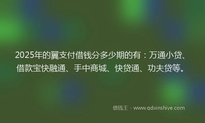 2025年的翼支付借钱分多少期的有：万通小贷、借款宝快融通、手中商城、快贷通、功夫贷等。