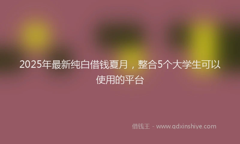 2025年最新纯白借钱夏月，整合5个大学生可以使用的平台
