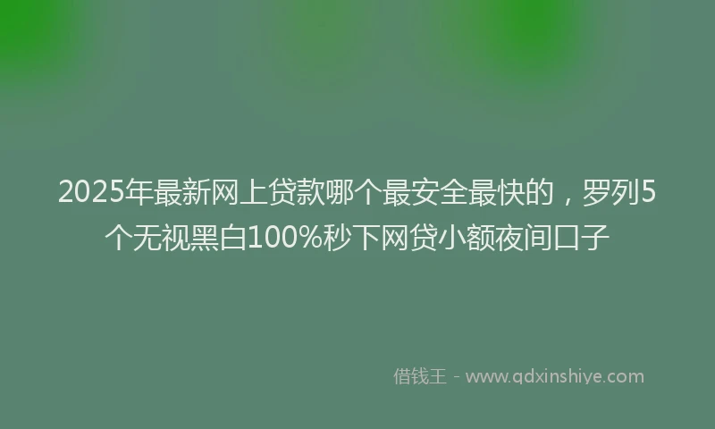 2025年最新网上贷款哪个最安全最快的，罗列5个无视黑白100%秒下网贷小额夜间口子