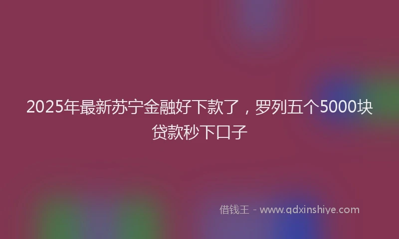 2025年最新苏宁金融好下款了，罗列五个5000块贷款秒下口子