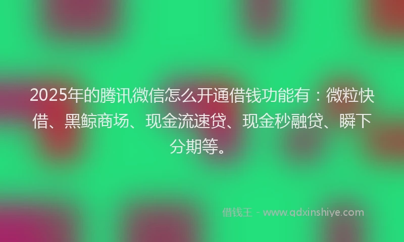 2025年的腾讯微信怎么开通借钱功能有：微粒快借、黑鲸商场、现金流速贷、现金秒融贷、瞬下分期等。