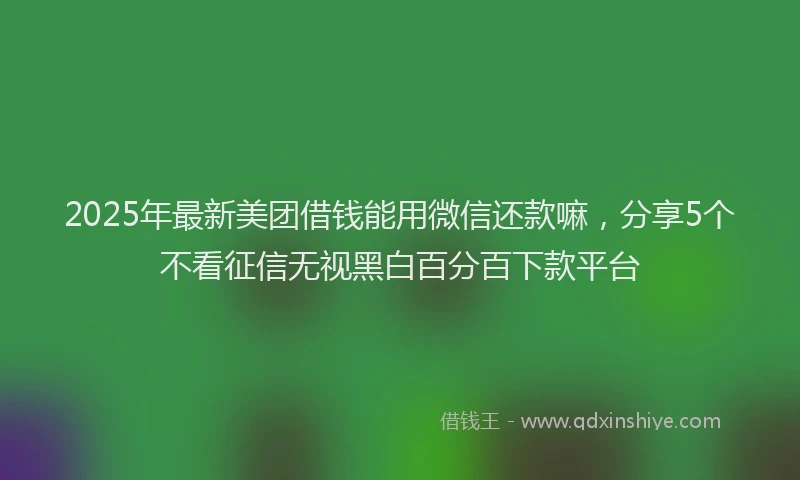 2025年最新美团借钱能用微信还款嘛，分享5个不看征信无视黑白百分百下款平台