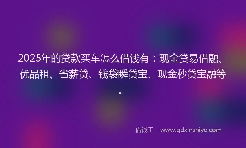 2025年的贷款买车怎么借钱有：现金贷易借融、优品租、省薪贷、钱袋瞬贷宝、现金秒贷宝融等。