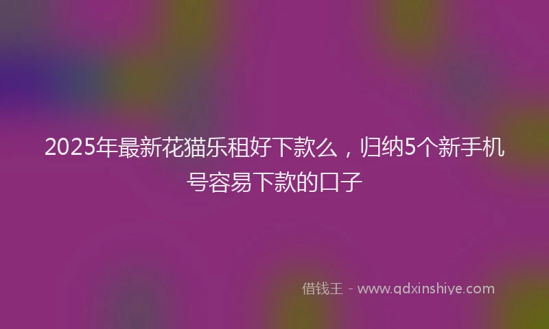2025年最新花猫乐租好下款么，归纳5个新手机号容易下款的口子