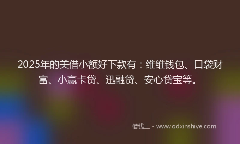 2025年的美借小额好下款有：维维钱包、口袋财富、小赢卡贷、迅融贷、安心贷宝等。