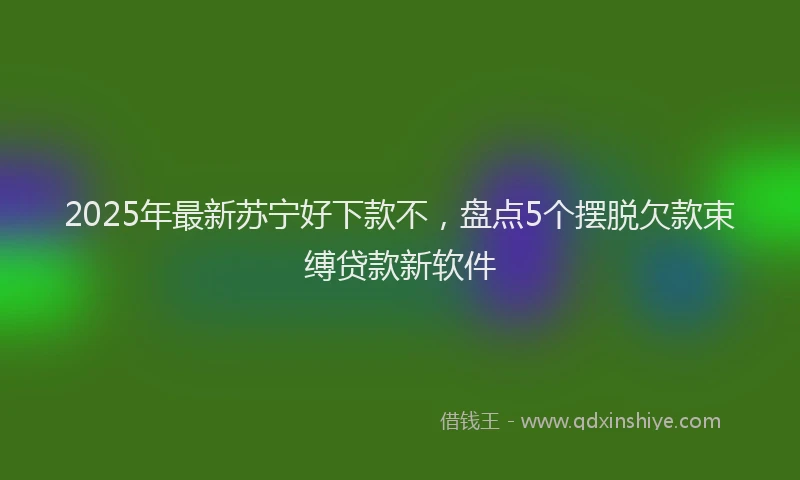 2025年最新苏宁好下款不，盘点5个摆脱欠款束缚贷款新软件
