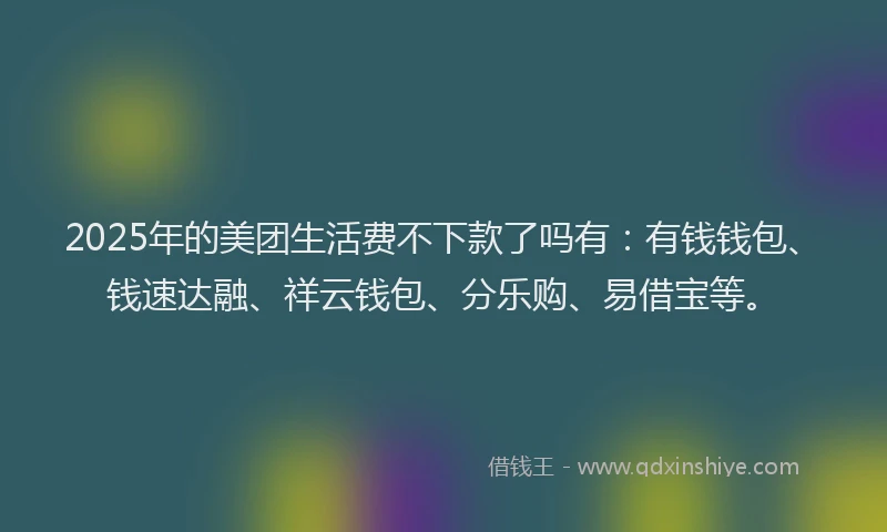 2025年的美团生活费不下款了吗有：有钱钱包、钱速达融、祥云钱包、分乐购、易借宝等。