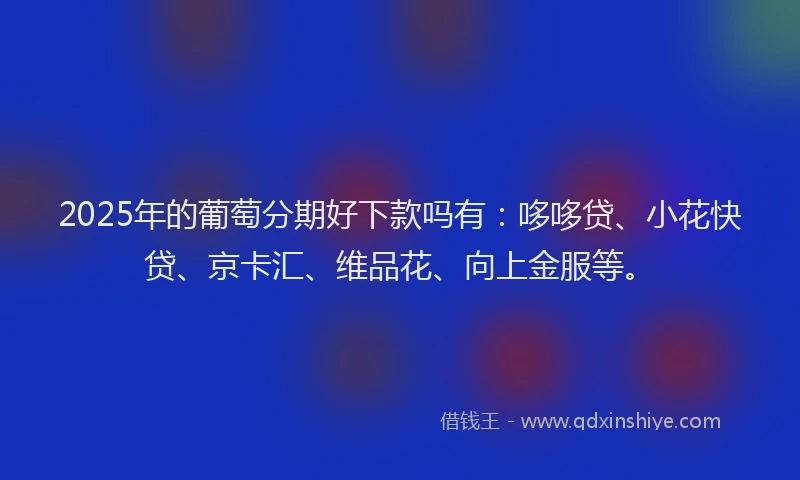 2025年的葡萄分期好下款吗有：哆哆贷、小花快贷、京卡汇、维品花、向上金服等。
