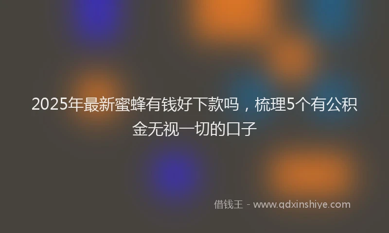 2025年最新蜜蜂有钱好下款吗，梳理5个有公积金无视一切的口子