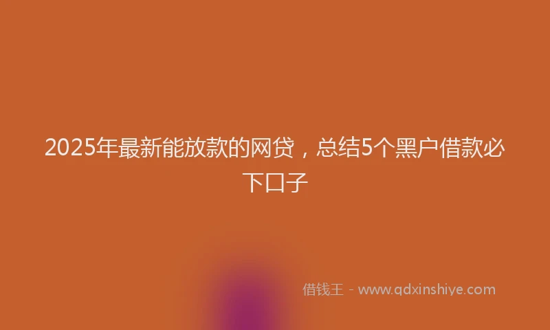 2025年最新能放款的网贷，总结5个黑户借款必下口子