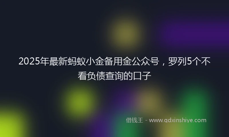 2025年最新蚂蚁小金备用金公众号，罗列5个不看负债查询的口子