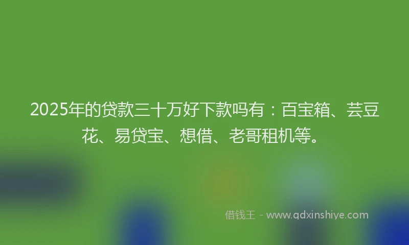 2025年的贷款三十万好下款吗有：百宝箱、芸豆花、易贷宝、想借、老哥租机等。