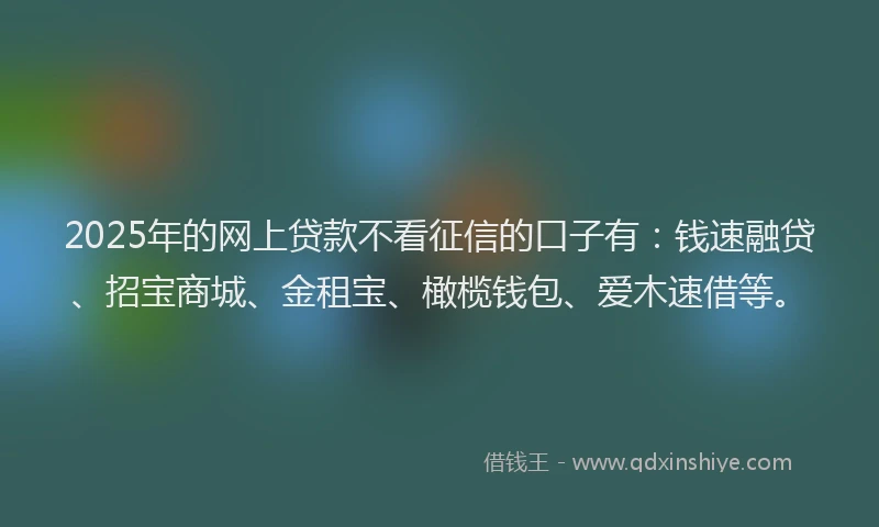 2025年的网上贷款不看征信的口子有：钱速融贷、招宝商城、金租宝、橄榄钱包、爱木速借等。