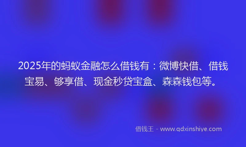 2025年的蚂蚁金融怎么借钱有：微博快借、借钱宝易、够享借、现金秒贷宝盒、森森钱包等。