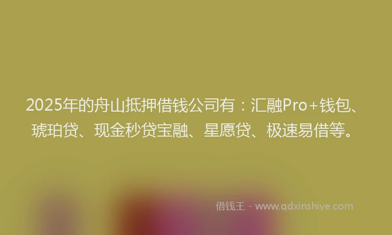 2025年的舟山抵押借钱公司有：汇融Pro+钱包、琥珀贷、现金秒贷宝融、星愿贷、极速易借等。