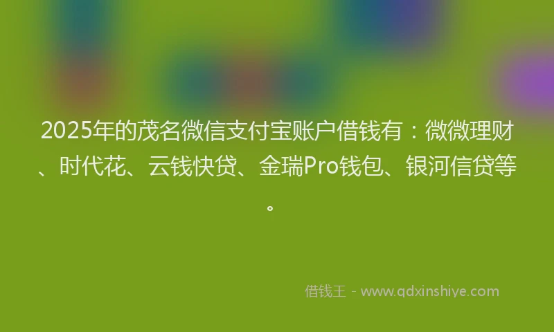 2025年的茂名微信支付宝账户借钱有：微微理财、时代花、云钱快贷、金瑞Pro钱包、银河信贷等。
