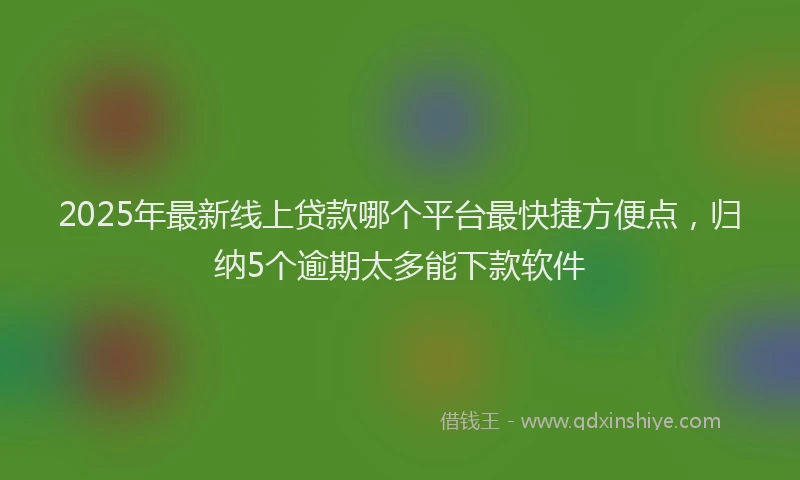 2025年最新线上贷款哪个平台最快捷方便点，归纳5个逾期太多能下款软件