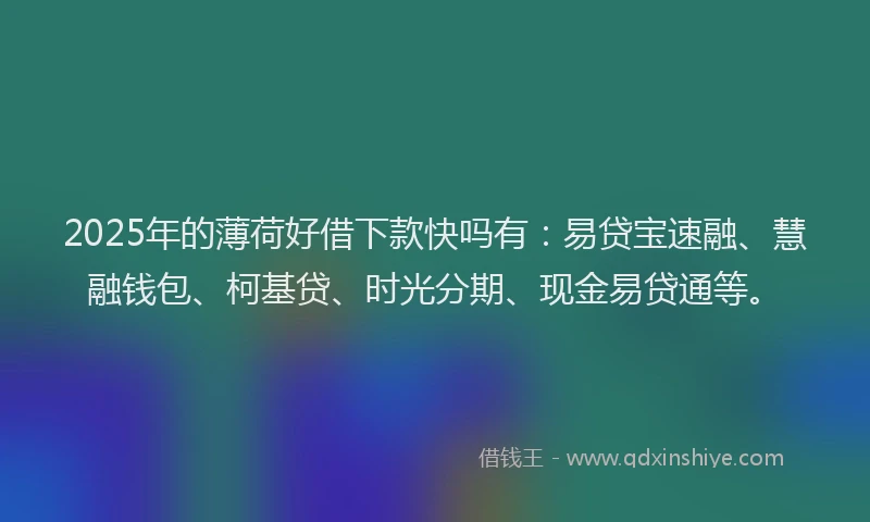 2025年的薄荷好借下款快吗有：易贷宝速融、慧融钱包、柯基贷、时光分期、现金易贷通等。