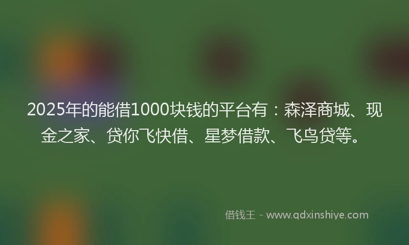 2025年的能借1000块钱的平台有：森泽商城、现金之家、贷你飞快借、星梦借款、飞鸟贷等。