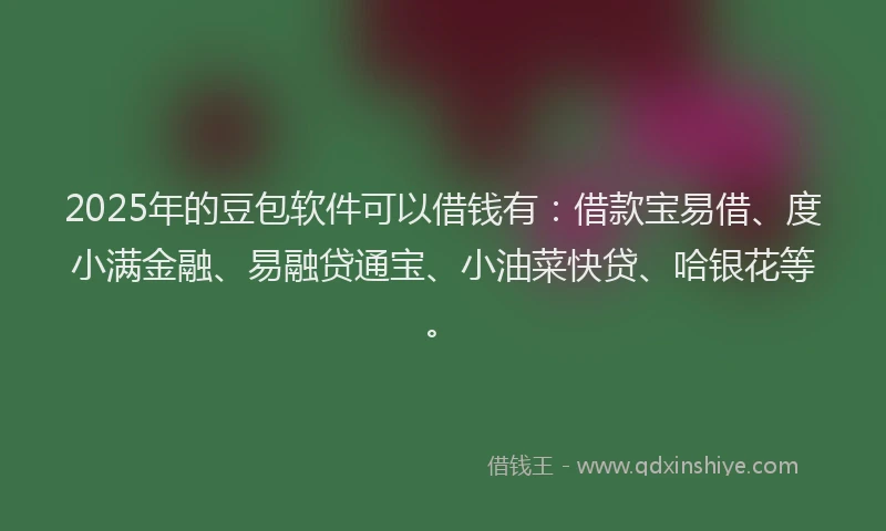 2025年的豆包软件可以借钱有:借款宝易借、度小满金融、易融贷通宝、小油菜快贷、哈银花等。
