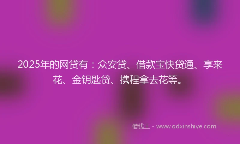 2025年的网贷有：众安贷、借款宝快贷通、享来花、金钥匙贷、携程拿去花等。