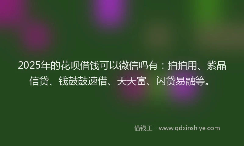 2025年的花呗借钱可以微信吗有：拍拍用、紫晶信贷、钱鼓鼓速借、天天富、闪贷易融等。