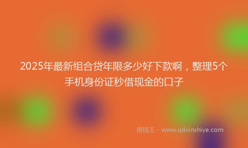 2025年最新组合贷年限多少好下款啊，整理5个手机身份证秒借现金的口子