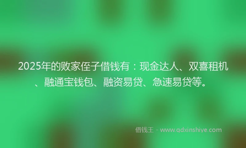 2025年的败家侄子借钱有：现金达人、双喜租机、融通宝钱包、融资易贷、急速易贷等。