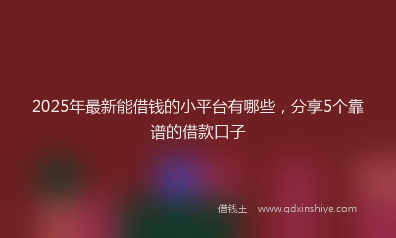 2025年最新能借钱的小平台有哪些，分享5个靠谱的借款口子