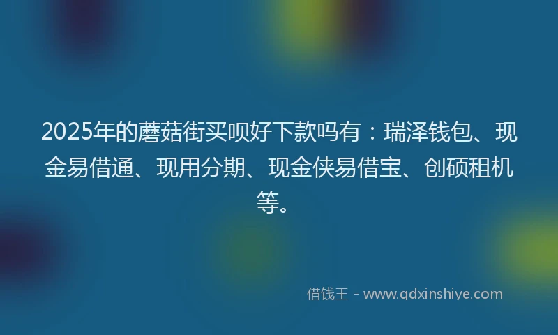2025年的蘑菇街买呗好下款吗有：瑞泽钱包、现金易借通、现用分期、现金侠易借宝、创硕租机等。
