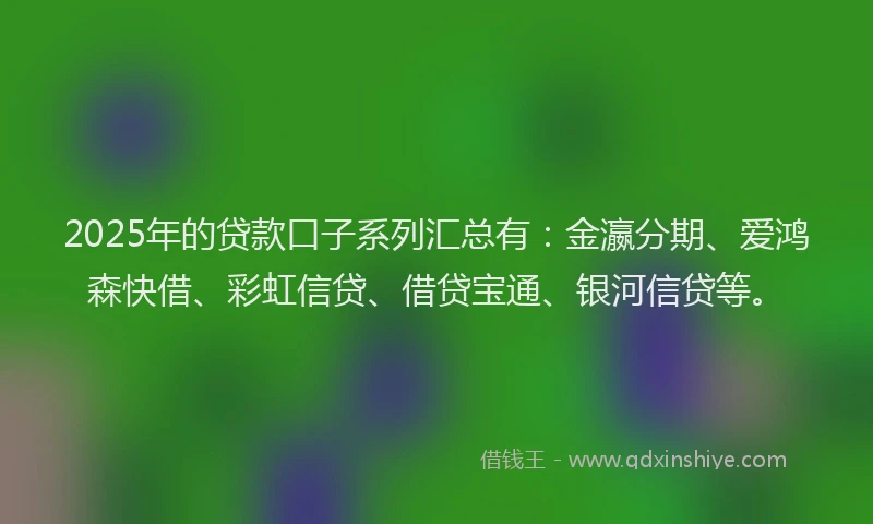 2025年的贷款口子系列汇总有：金瀛分期、爱鸿森快借、彩虹信贷、借贷宝通、银河信贷等。