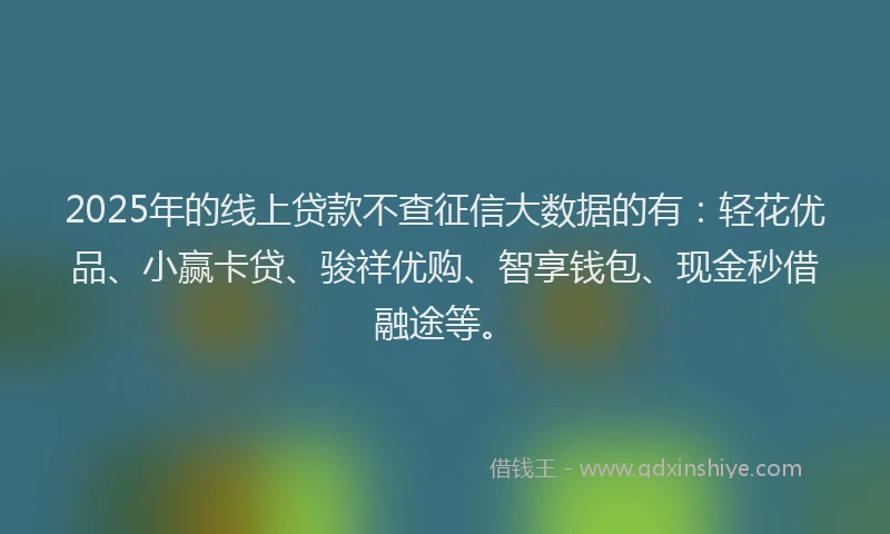 2025年的线上贷款不查征信大数据的有：轻花优品、小赢卡贷、骏祥优购、智享钱包、现金秒借融途等。