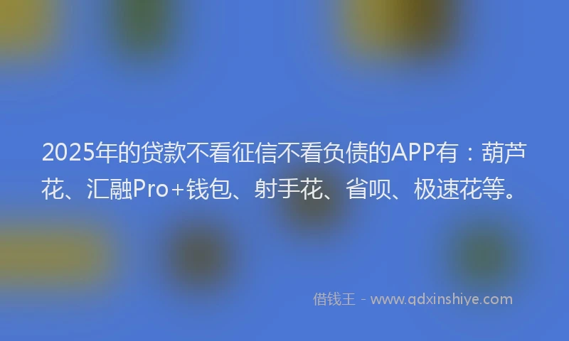 2025年的贷款不看征信不看负债的APP有：葫芦花、汇融Pro+钱包、射手花、省呗、极速花等。