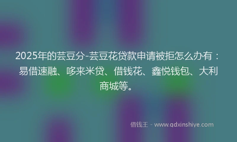 2025年的芸豆分-芸豆花贷款申请被拒怎么办有：易借速融、哆来米贷、借钱花、鑫悦钱包、大利商城等。