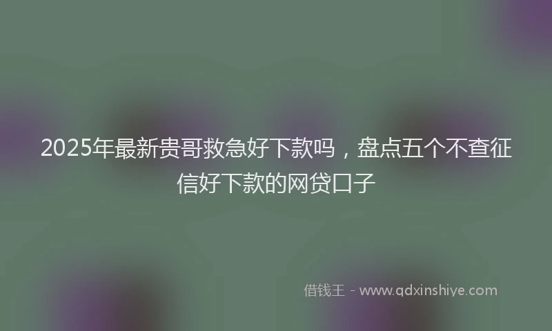 2025年最新贵哥救急好下款吗，盘点五个不查征信好下款的网贷口子