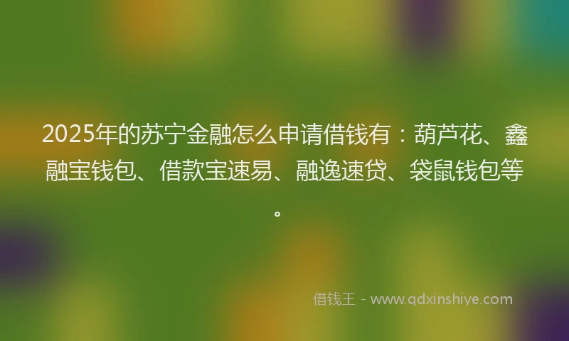 2025年的苏宁金融怎么申请借钱有：葫芦花、鑫融宝钱包、借款宝速易、融逸速贷、袋鼠钱包等。