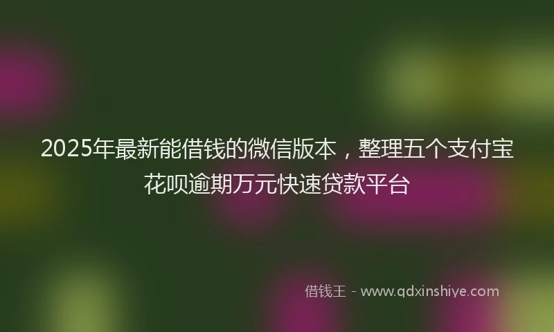2025年最新能借钱的微信版本,整理五个支付宝花呗逾期万元快速贷款平台