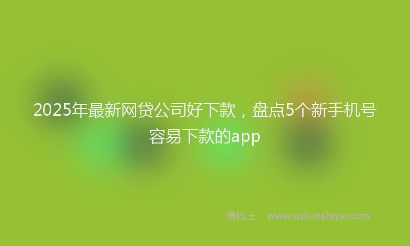 2025年最新网贷公司好下款，盘点5个新手机号容易下款的app
