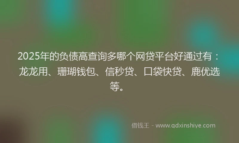 2025年的负债高查询多哪个网贷平台好通过有：龙龙用、珊瑚钱包、信秒贷、口袋快贷、鹿优选等。