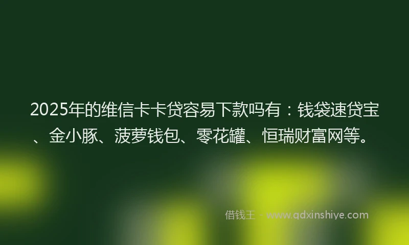 2025年的维信卡卡贷容易下款吗有：钱袋速贷宝、金小豚、菠萝钱包、零花罐、恒瑞财富网等。