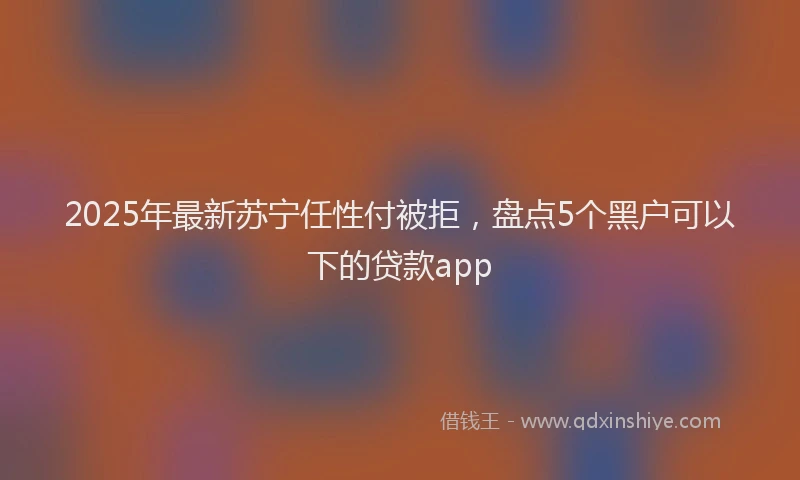 2025年最新苏宁任性付被拒，盘点5个黑户可以下的贷款app