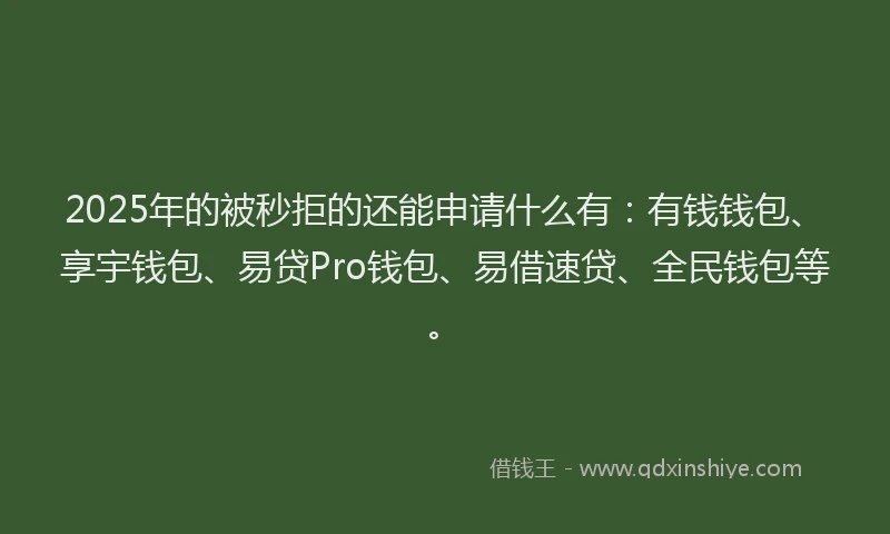 2025年的被秒拒的还能申请什么有：有钱钱包、享宇钱包、易贷Pro钱包、易借速贷、全民钱包等。