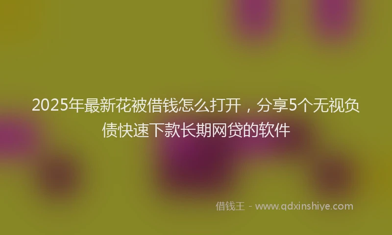 2025年最新花被借钱怎么打开，分享5个无视负债快速下款长期网贷的软件