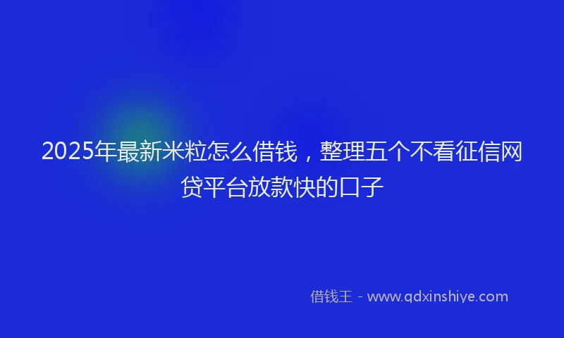 2025年最新米粒怎么借钱，整理五个不看征信网贷平台放款快的口子