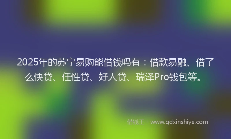 2025年的苏宁易购能借钱吗有：借款易融、借了么快贷、任性贷、好人贷、瑞泽Pro钱包等。