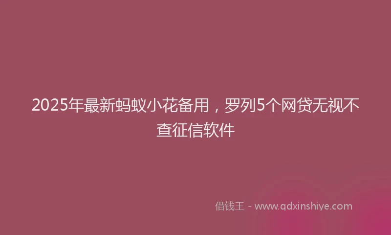 2025年最新蚂蚁小花备用，罗列5个网贷无视不查征信软件